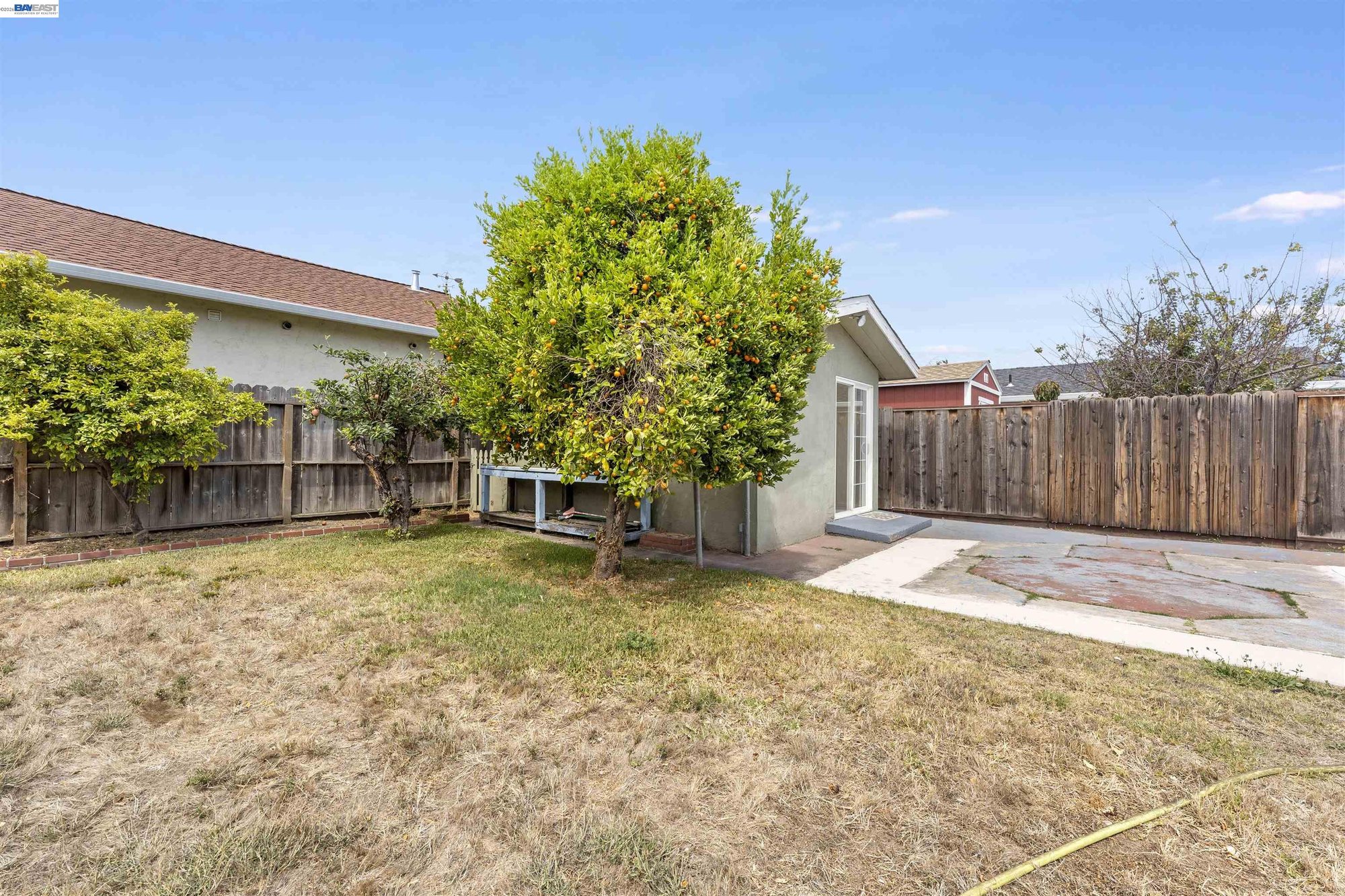 Fruit tree shading the backyard